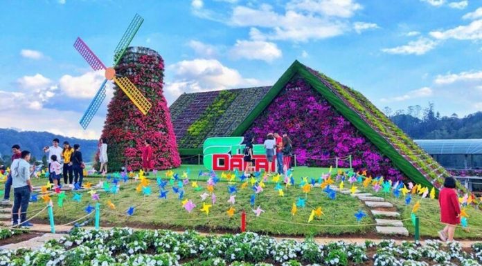 The Ultimate Guide to Witty and Engaging Travel Captions for Your Next Adventure in Da Lat