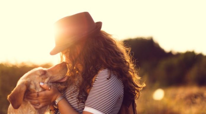 “Captivating Quips: Embracing the Beauty of Self-Expression”