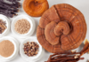 6 Medicinal Mushrooms for Cancer Patients