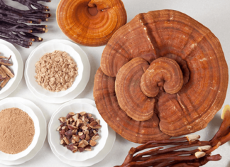 6 Medicinal Mushrooms for Cancer Patients