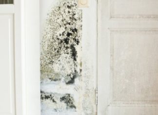 The Lingering Stench: 6 Reasons Your Home Smells Musty and How to Fix It