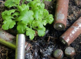 6 Things You Should Never Throw Away: For Your Safety and Wealth