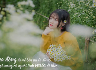 65 Captivating Winter Captions to Warm Your Heart