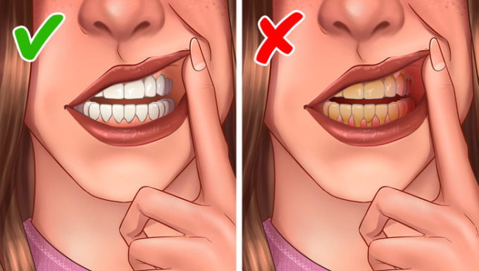 Why Brush Your Teeth Only Once a Day?