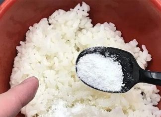 The Magic Mix: Revive Leftover Rice to Repel Cockroaches