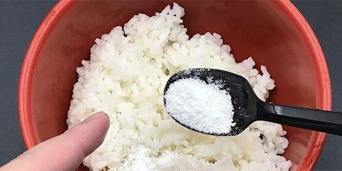 The Magic Mix: Revive Leftover Rice to Repel Cockroaches