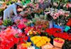 The Ultimate Guide: Prolonging the Life of Your Fresh Flower Arrangements Well Past Tết