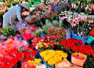 The Ultimate Guide: Prolonging the Life of Your Fresh Flower Arrangements Well Past Tết