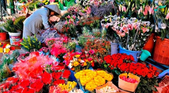 The Ultimate Guide: Prolonging the Life of Your Fresh Flower Arrangements Well Past Tết