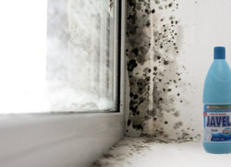 7 Simple and Quick Ways to Clean Your Moldy Walls