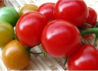 7 Things to Keep in Mind When Eating Tomatoes