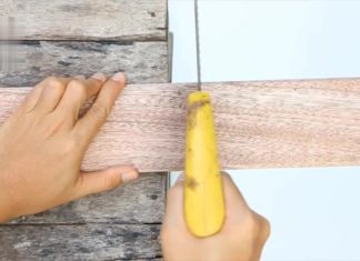 The Ultimate Guide to Woodworking: 8 Tips and Tricks for the Perfect Project
