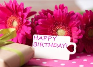 100+ Heartfelt Birthday Wishes for Teachers