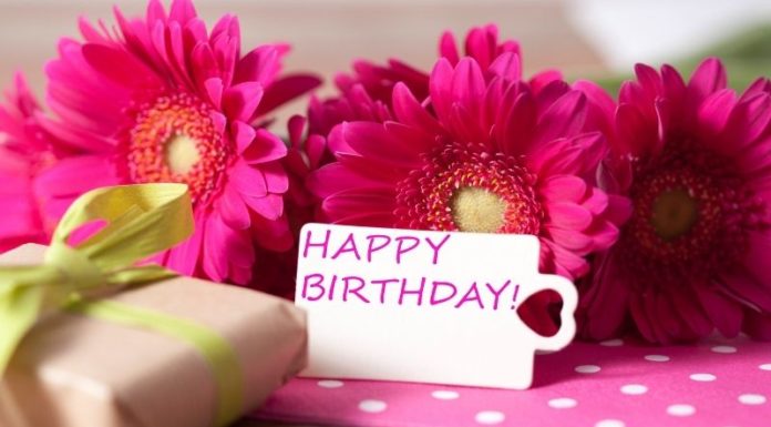 100+ Heartfelt Birthday Wishes for Teachers