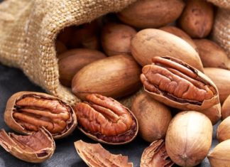 9 Types of Nuts for Your Low-Carb Dieting Needs