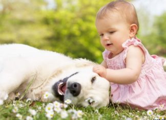 “A Comprehensive List: 320+ Captivating and Unique Female Names Beginning with the Letter ‘H’”