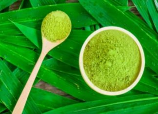 The Power of Green Tea Powder Face Masks: Unlocking Beauty Secrets
