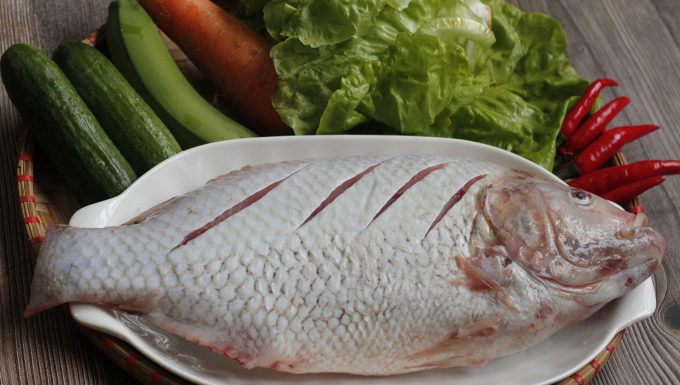 The Ultimate Guide to Getting Rid of Fishy Odor