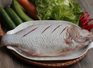 The Ultimate Guide to Eliminating Fishy Odors