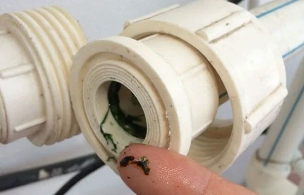 The Importance of Regular Water Pipe Cleaning