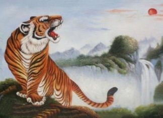 Who Should Hang Tiger Paintings According to Their Age? How to Properly Hang Tiger Paintings in Your Home According to Feng Shui.