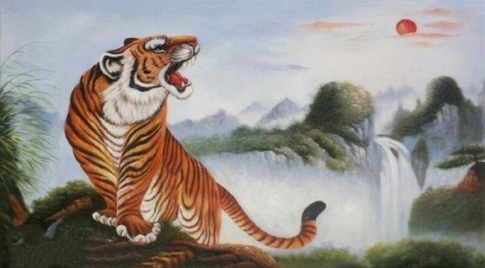 Who Should Hang Tiger Paintings According to Their Age? How to Properly Hang Tiger Paintings in Your Home According to Feng Shui.