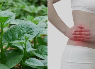 Who Should Avoid Eating Water Spinach?