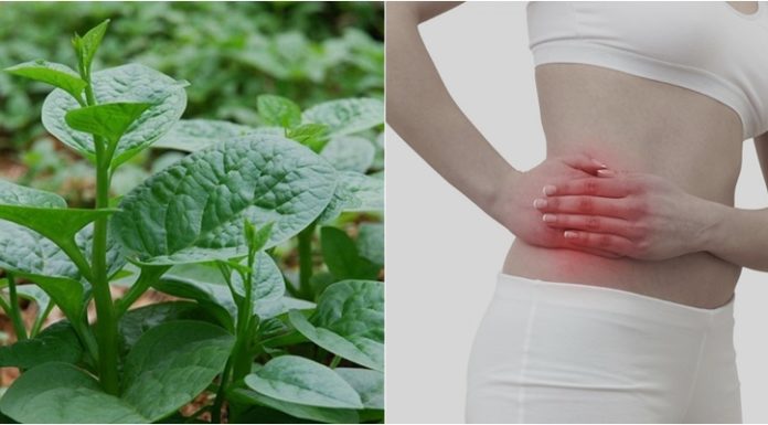 Who Should Avoid Eating Water Spinach?