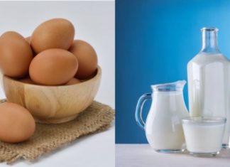 Is Veganism Truly Egg-clusive and Dairy-free?