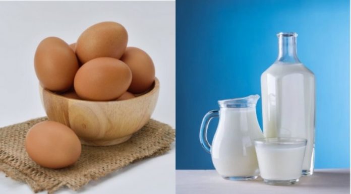 Is Veganism Truly Egg-clusive and Dairy-free?