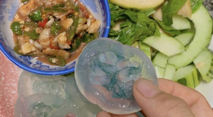Is Eating Hue’s Baby Octopus Safe for Your Health?