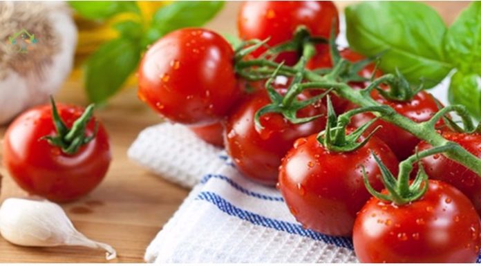 Is It Wise to Eat Cucumbers and Tomatoes Together?