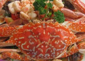 The Ultimate Guide to Crab Meat Extraction: A Tasty Treat