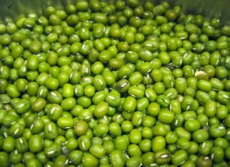 What to Eat for Shiny Black Hair and Prevent Premature Greying?