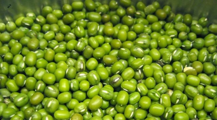 What to Eat for Shiny Black Hair and Prevent Premature Greying?