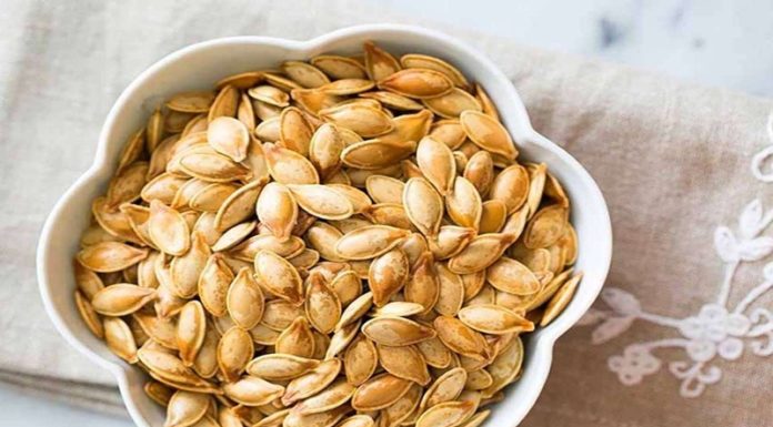 Does Pumpkin Seed Have Calories? Are Pumpkin Seeds Fattening?