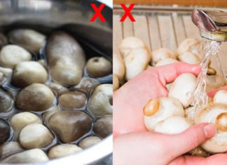 No Wash, Just Wipe: The Ultimate Guide to Cleaning Mushrooms to Retain their Nutritional Value