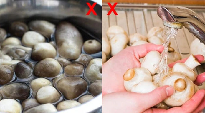 No Wash, Just Wipe: The Ultimate Guide to Cleaning Mushrooms to Retain their Nutritional Value