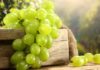 Does Eating Grapes Cause Acne? Unveiling the Benefits and Drawbacks of Grapes for Acne-Prone Skin