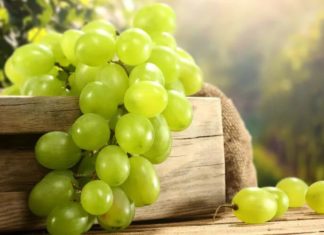 Does Eating Grapes Cause Acne? Unveiling the Benefits and Drawbacks of Grapes for Acne-Prone Skin