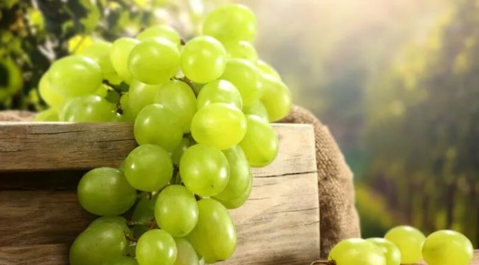 Does Eating Grapes Cause Acne? Unveiling the Benefits and Drawbacks of Grapes for Acne-Prone Skin