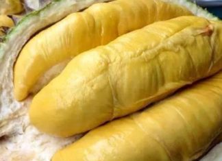 Does Eating Durian Cause Acne?