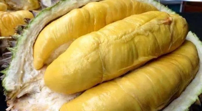 Does Eating Durian Cause Acne?