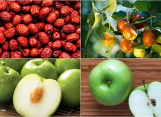 Does Eating Chinese Dates Help with Weight Loss? Calorie Count in Chinese Dates