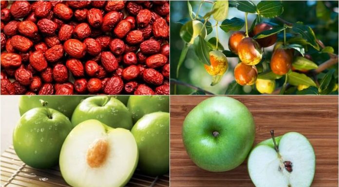 Does Eating Chinese Dates Help with Weight Loss? Calorie Count in Chinese Dates