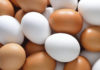 Is There a Nutritional Difference Between Farm-Fresh and Industrial Eggs?