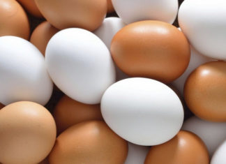 Is There a Nutritional Difference Between Farm-Fresh and Industrial Eggs?