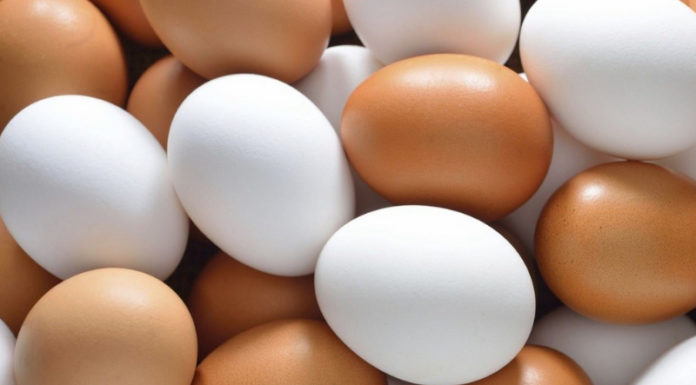 Is There a Nutritional Difference Between Farm-Fresh and Industrial Eggs?