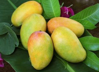 Does Eating Mangoes Cause Acne?