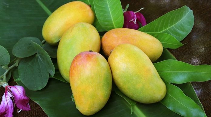 Does Eating Mangoes Cause Acne?
